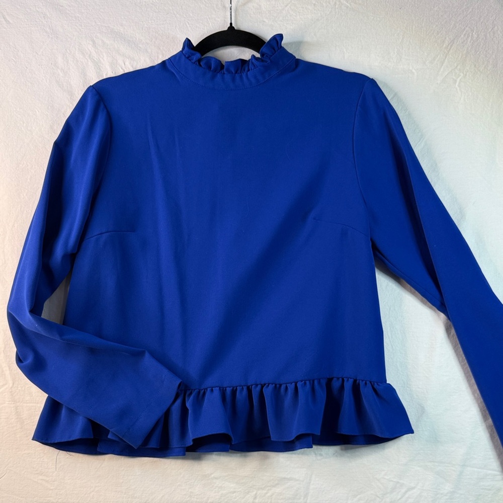 Ruffle-Hem Long Sleeve Blouse in Blue